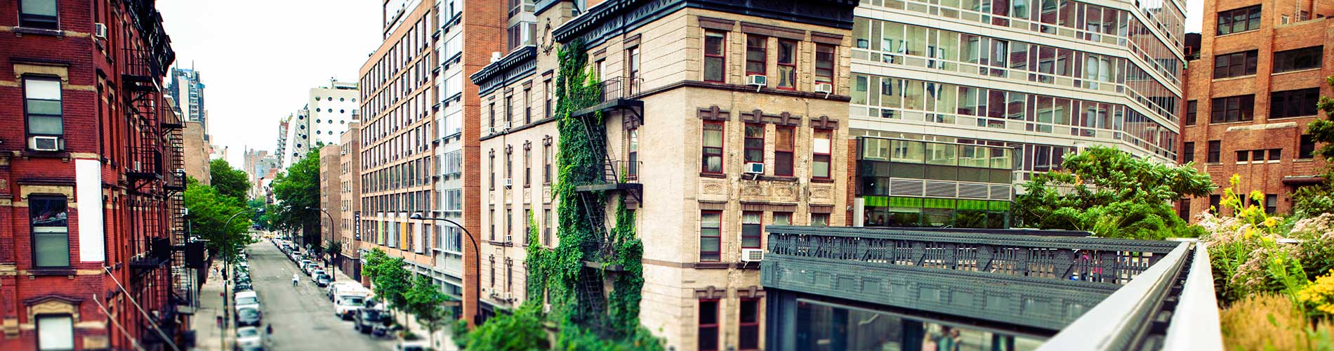 NYU School of Professional Studies