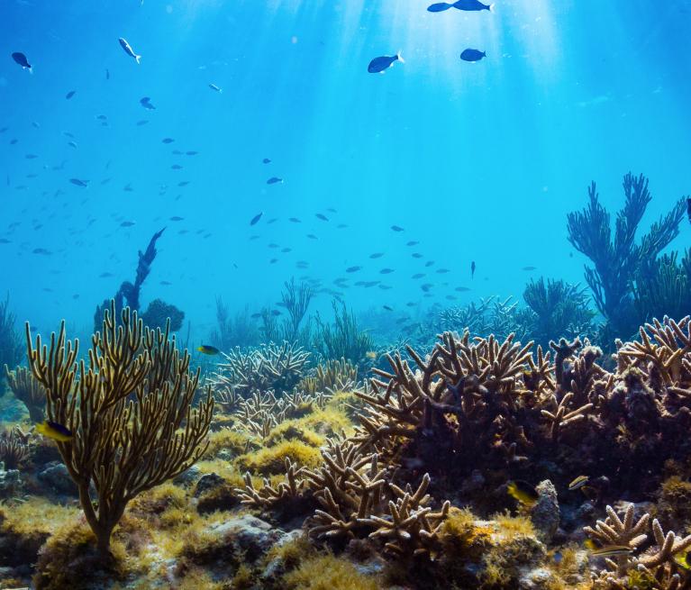 Ocean depths