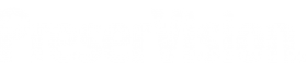 Preservision: logo in transparent