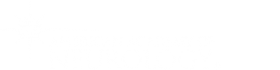 AAN Logo