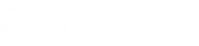 NYU Silver Transparent Logo